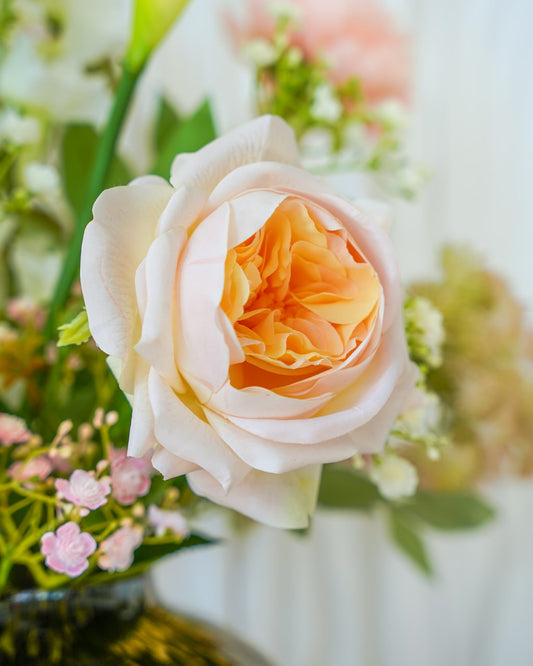 Close-up van een crèmekleurige zijden roos met een warm perzikkleurig hart in Boeket Lily.