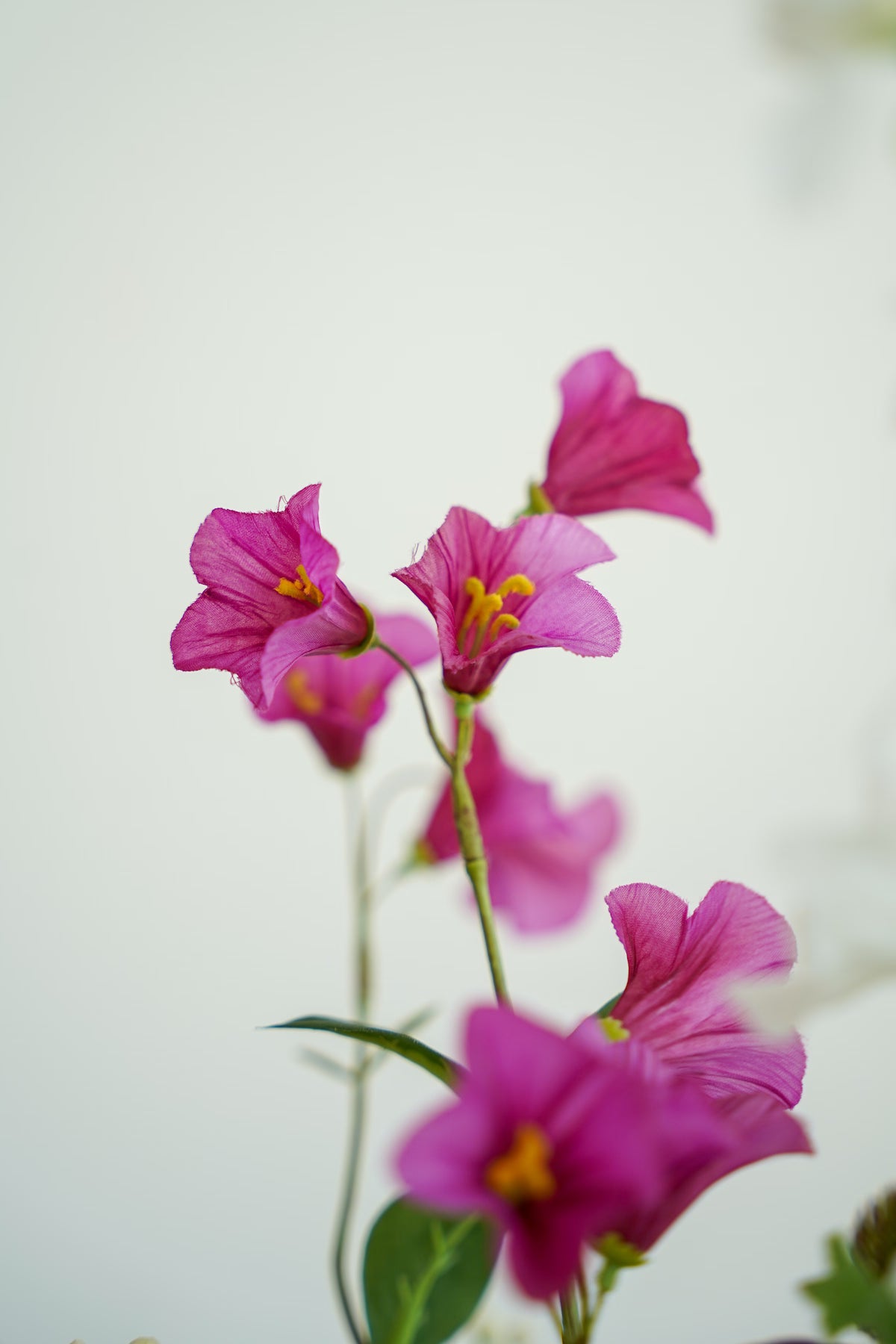 Detailopname van de opvallende fuchsia klokbloemen in zijden boeket Sombrero van Fan of Flowers