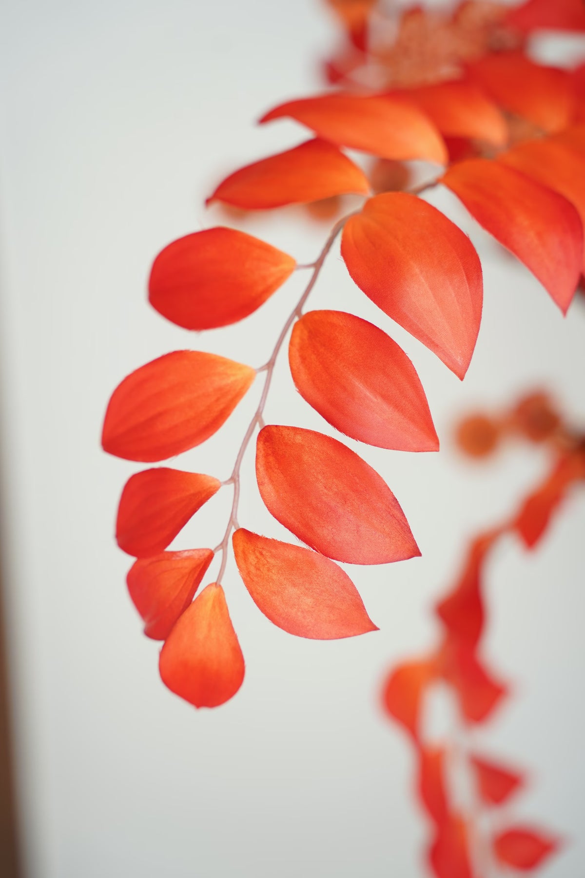 Detail van een sierlijk afhangende tak met oranje zijden bladeren in boeket Fuego van Fan of Flowers.