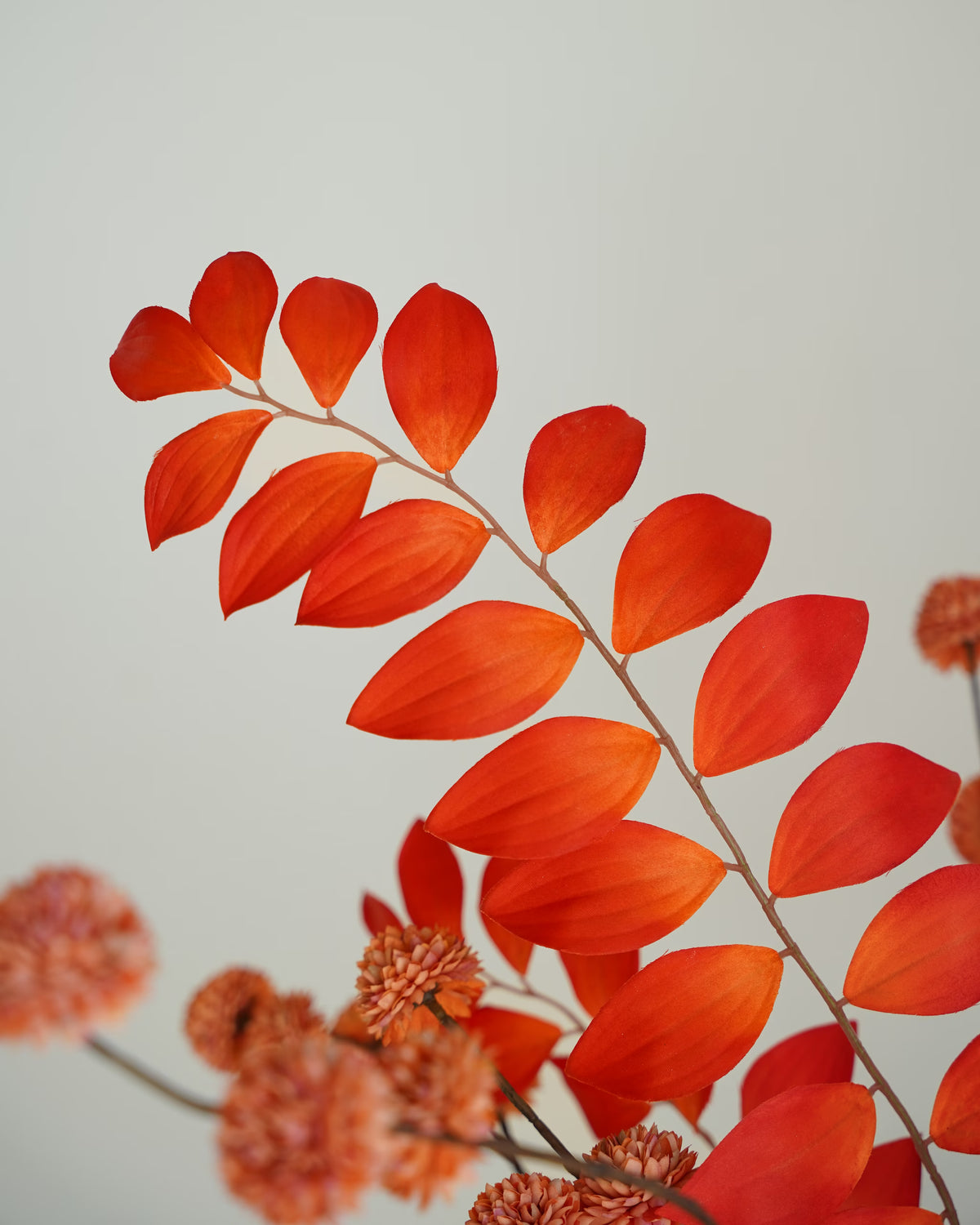 Detail van feloranje zijden bladeren met zichtbare nerven in boeket Fuego van Fan of Flowers, met roestkleurige bolbloemen op de achtergrond.