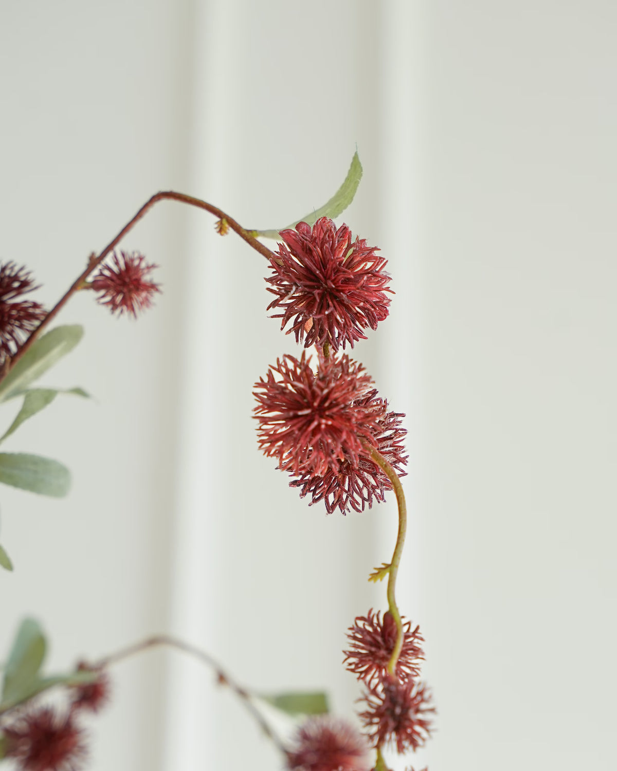 Detail van bruine bolletjes met bordeauxrode nuances en grijsgroene blaadjes aan een zijden tak van Fan of Flowers.