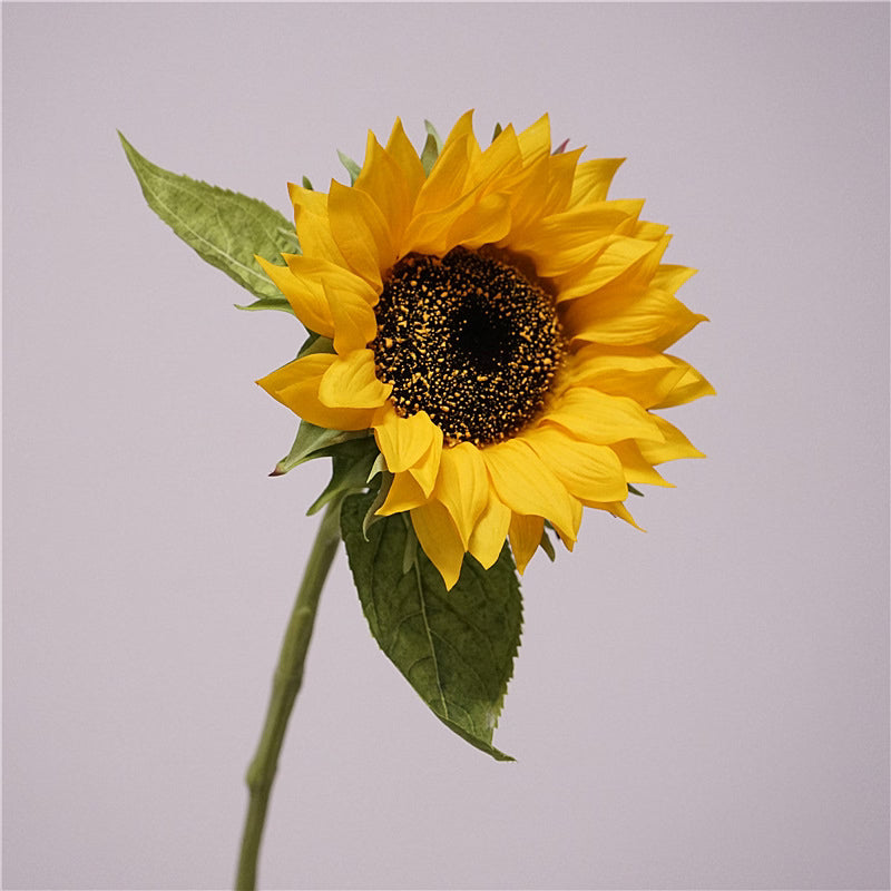 Close-up van klassiek gele real-touch zijden zonnebloem Solea Limon van Fan of Flowers